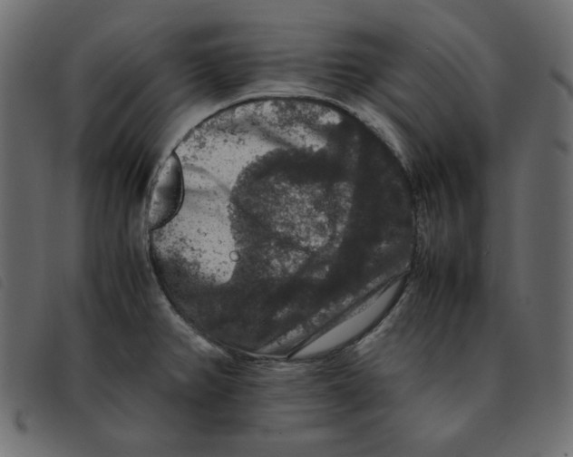 X0000092251382200710121250