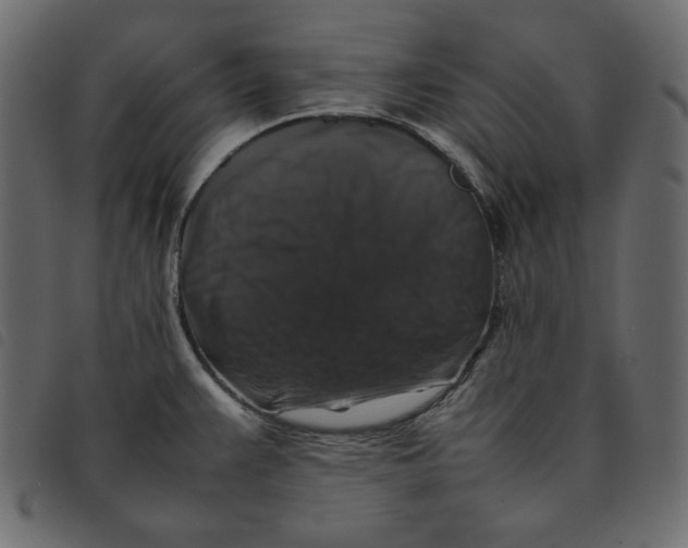 X0000092251383200710121250