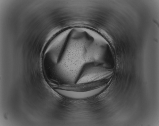 X0000092251384200710121250