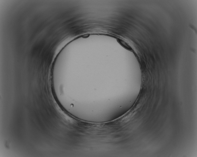 X0000092251387200710121250