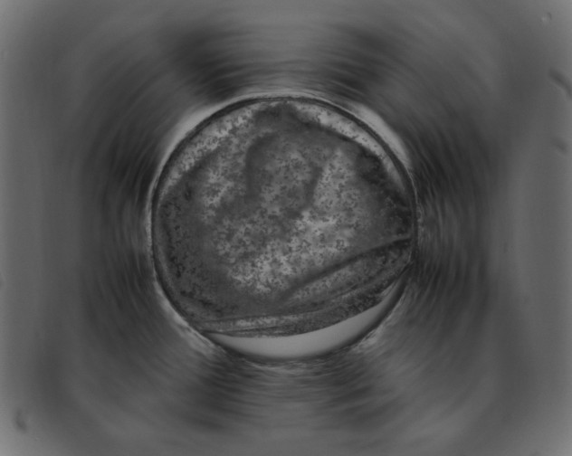 X0000092251388200710121250