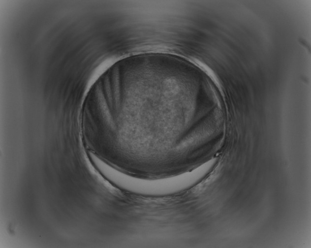 X0000092251389200710121250