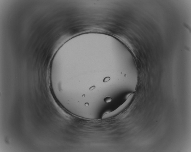 X0000092251391200710121250