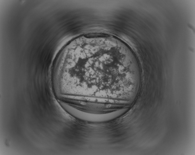 X0000092251392200710121250