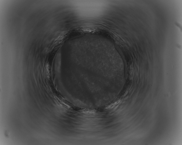 X0000092251394200710121249