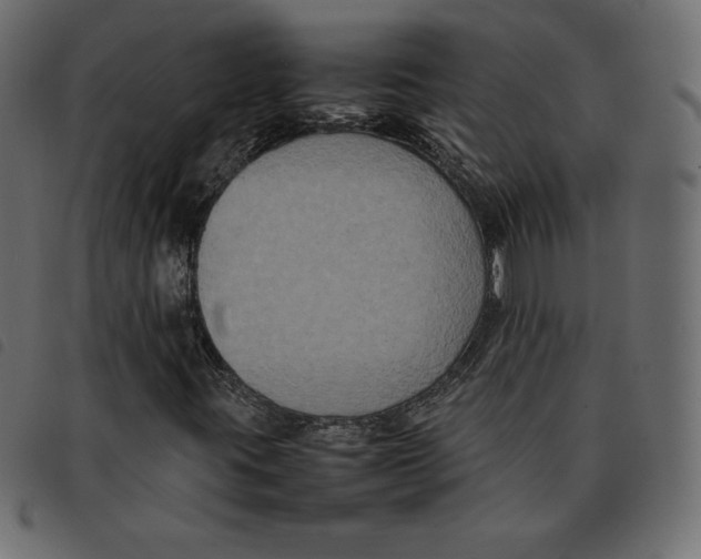 X0000092251395200710121249