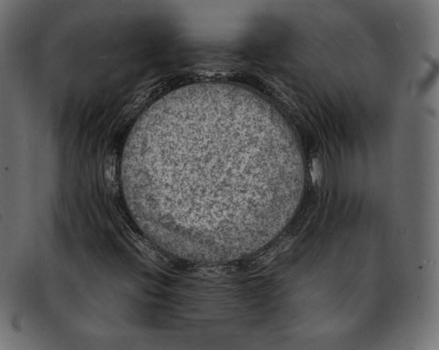 X0000092251396200710121249