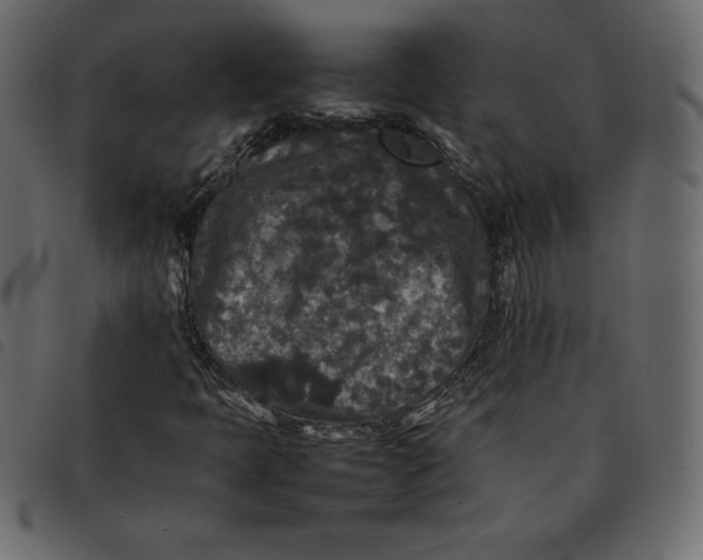 X0000092251397200710121249