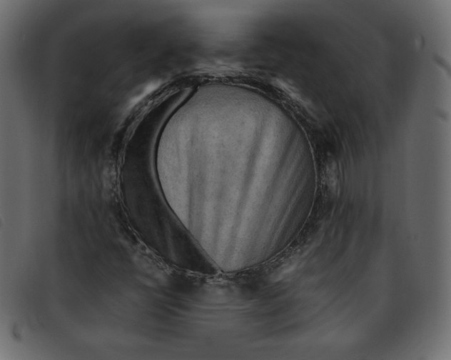X0000092251398200710121249
