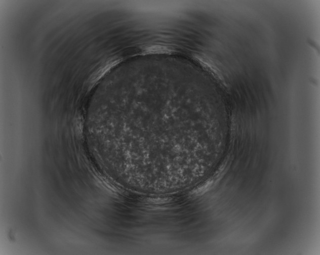 X0000092251401200710121249