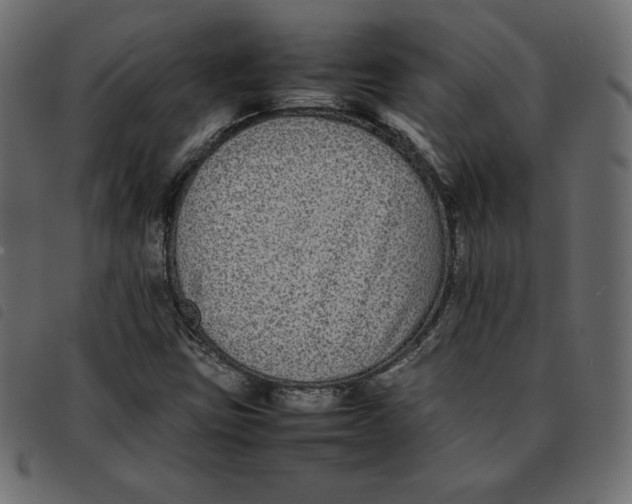 X0000092251403200710121249