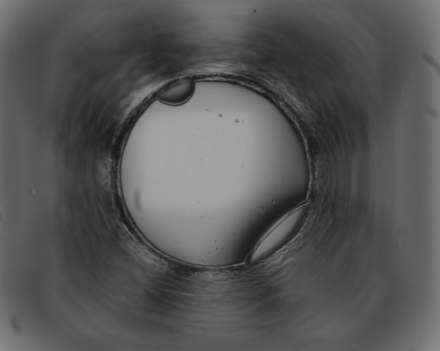 X0000092251404200710121249