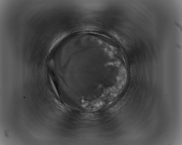 X0000092251405200710121249