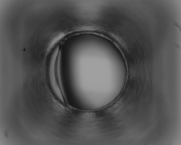 X0000092251406200710121249