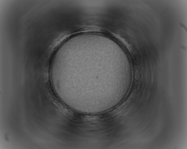 X0000092251407200710121249