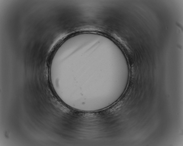 X0000092251408200710121249