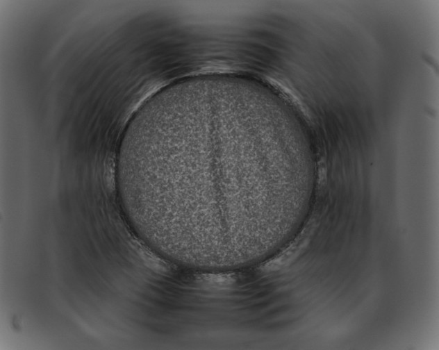 X0000092251409200710121249