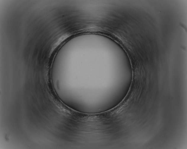 X0000092251410200710121249