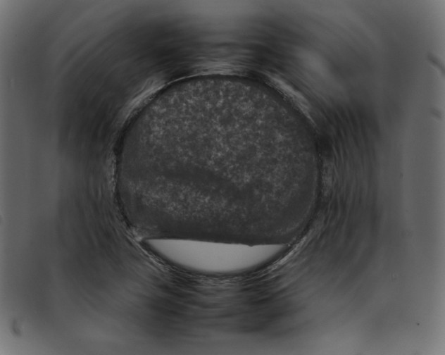 X0000092251411200710121249