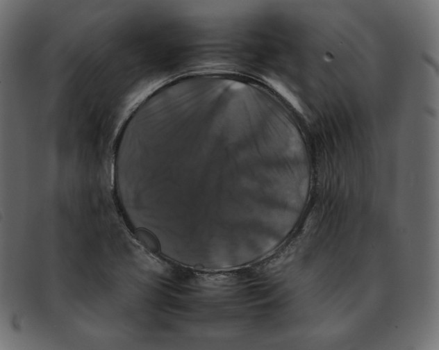 X0000092251413200710121249