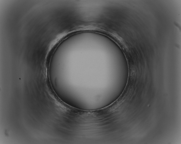 X0000092251414200710121249