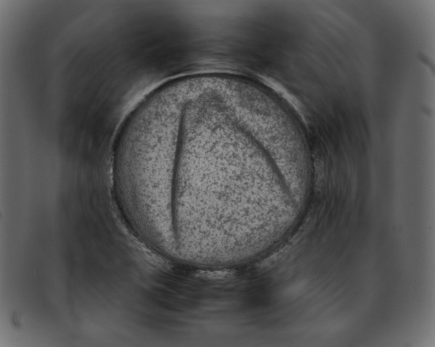 X0000092251415200710121249