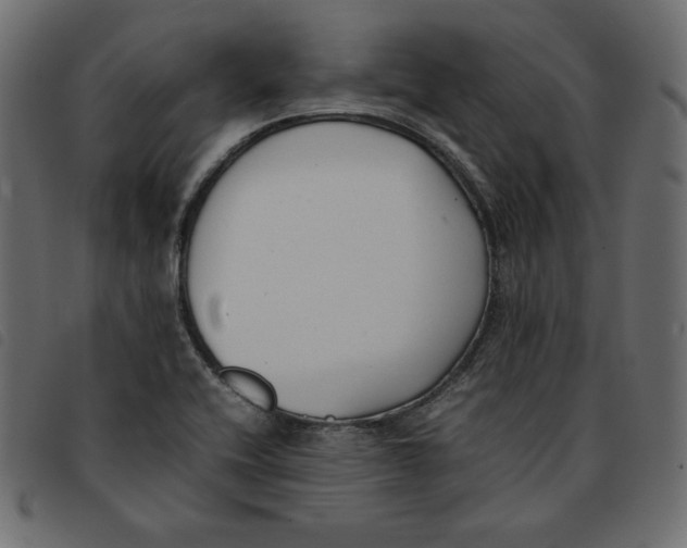X0000092251416200710121249