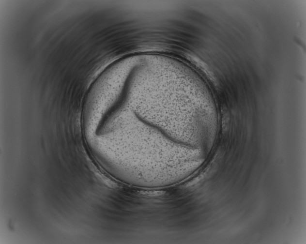 X0000092251417200710121249