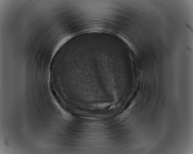 X0000092251418200710121249