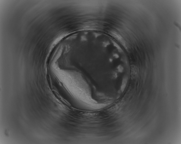 X0000092251419200710121249