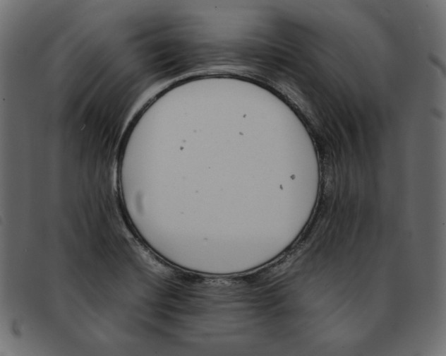 X0000092251420200710121249