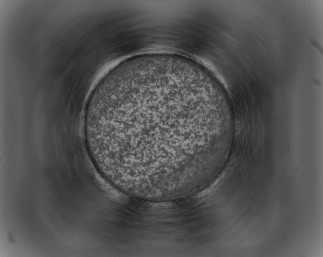 X0000092251421200710121249