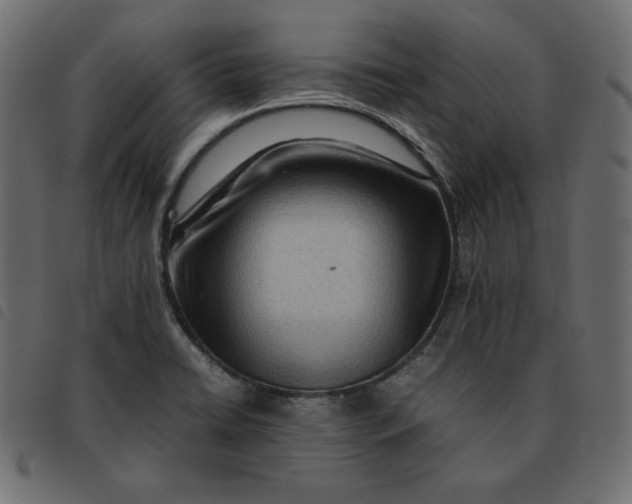 X0000092251422200710121249