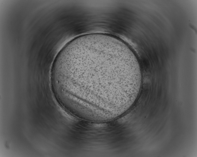 X0000092251423200710121249