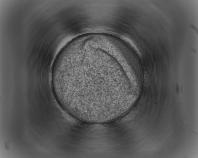 X0000092251424200710121249
