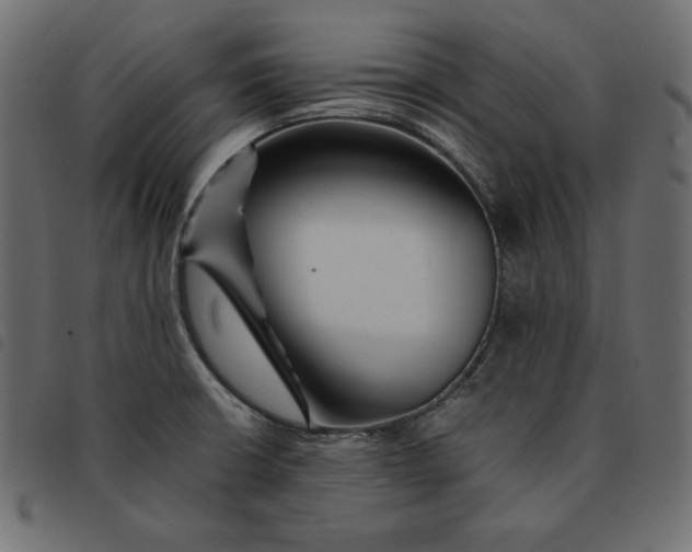 X0000092251426200710121249