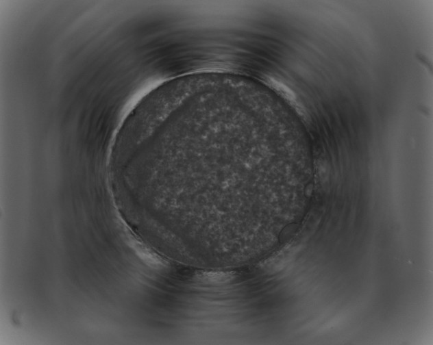 X0000092251427200710121249