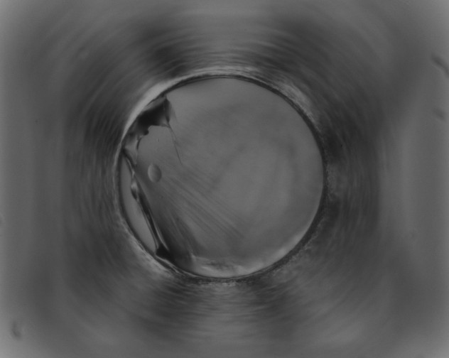 X0000092251428200710121249