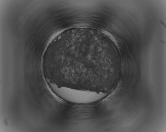 X0000092251429200710121250