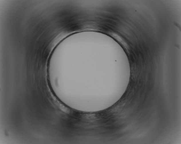 X0000092251431200710121250