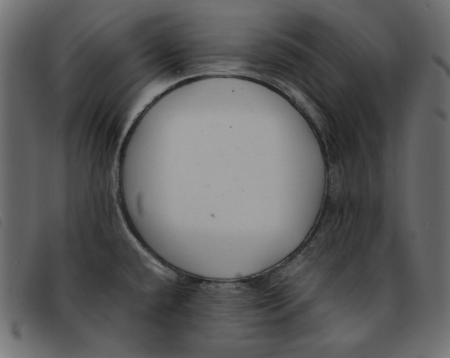 X0000092251432200710121250