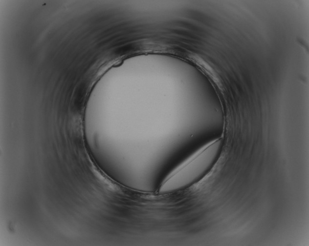 X0000092251433200710121250