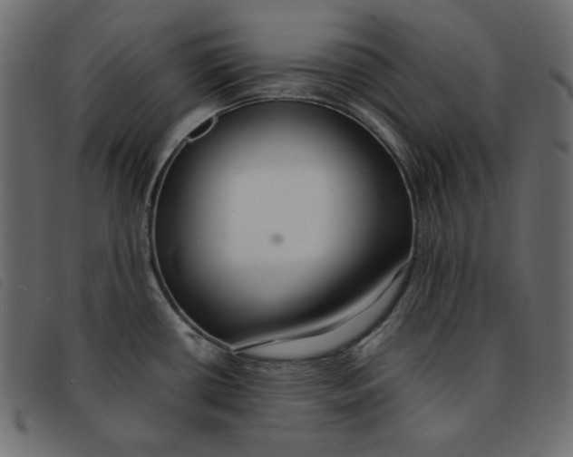 X0000092251434200710121250