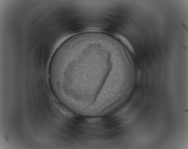 X0000092251435200710121250