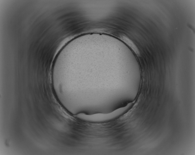 X0000092251436200710121250