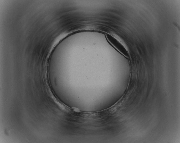 X0000092251437200710121250