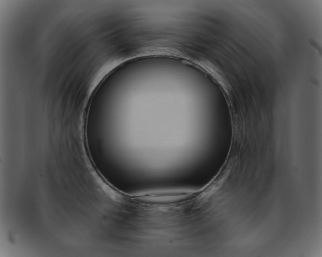 X0000092251438200710121250