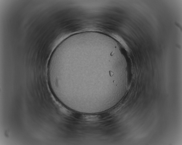 X0000092251439200710121250