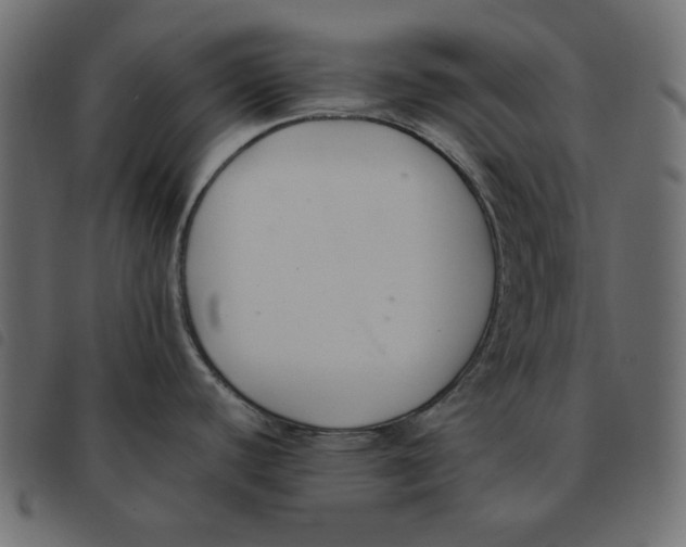 X0000092251440200710121250