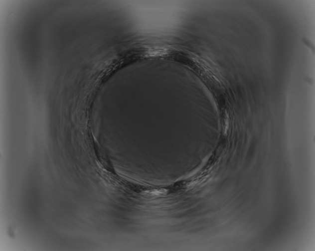 X0000092251441200710121249